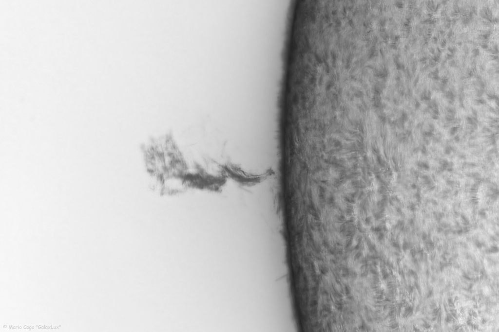Sun 29 Sept 2025 BW