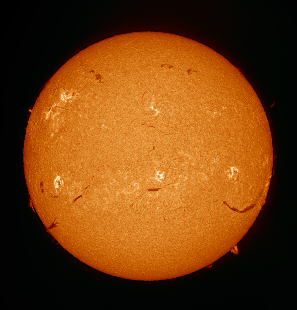 Sun H-alpha Full Disk 24 mar 2026