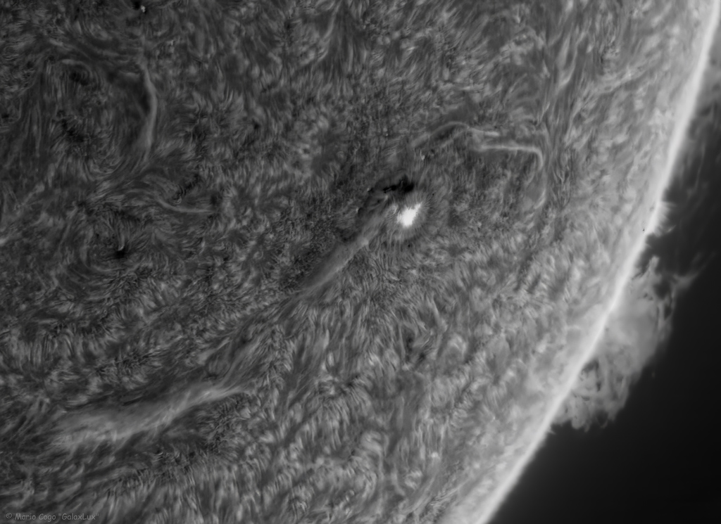 Sun 20 Feb 2025 AR3990
