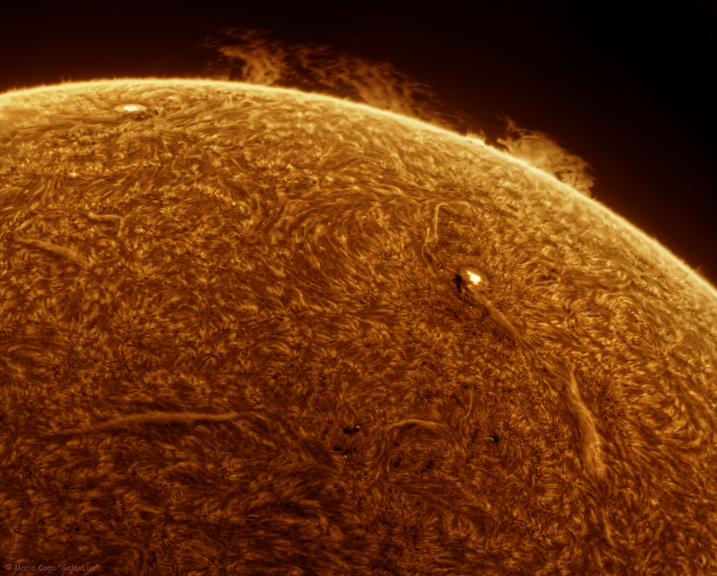 Sun 20 Feb 2025 Mosaic-a