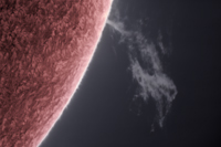 Sun 18 Nov 2024