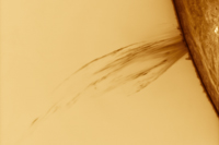 Sun 29 Dec 2024