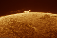 Sun 31 Aug 2025