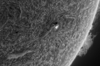 Sun 20 Feb 2025 AR3990