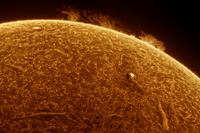 Sun 20 Feb 2025 mosaic-a