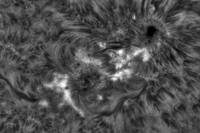 AE4248-4250 15 Oct 2025