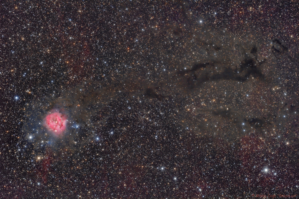Cocoon Nebula IC  5146