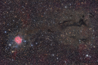 Cocoon Nebula IC5146