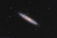 NGC 253 Sculptor Galaxy