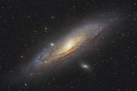 M31