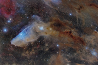 The Blue Horsehead Mosaic